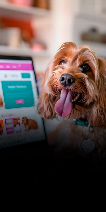 1-Introdução-ao-Marketing-Digital