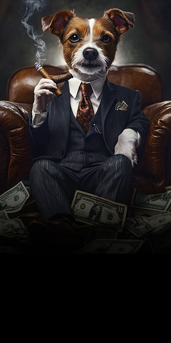 7-Desenvolvimento-do-diferencial-competitivo-no-mercado-pet