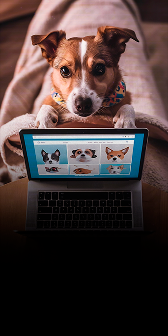 7-Marketing-de-conteúdo-para-o-setor-animal