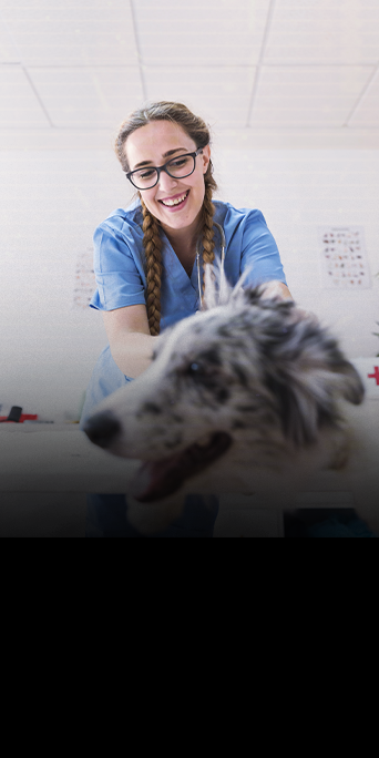 3-Infecção-do-trato-urinário