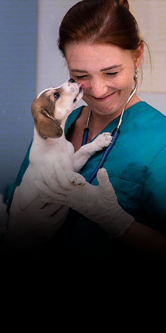 4-Infecção-do-trato-urinário