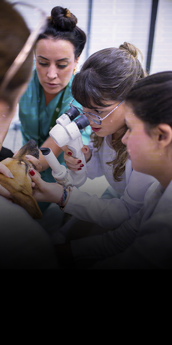 Aprenda-a-realizar-o-exame-de-fundoscopia1