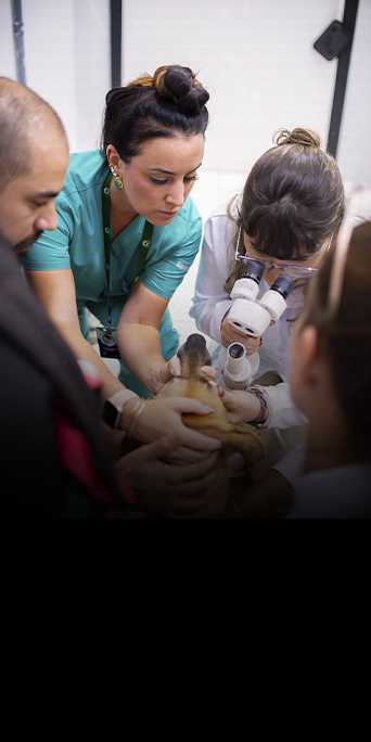 Aprenda-a-realizar-o-exame-de-fundoscopia5