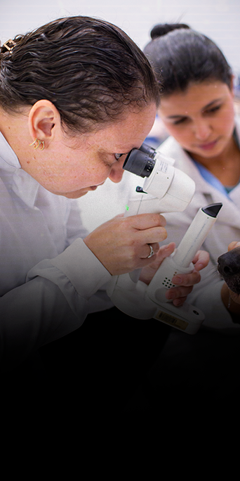 Aprenda-a-realizar-o-exame-de-fundoscopia6