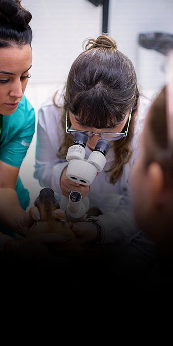 Aprenda-a-realizar-o-exame-de-fundoscopia7