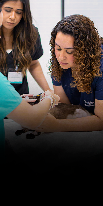 Aprenda-a-realizar-o-exame-de-fundoscopia8