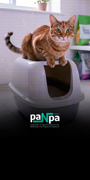 CAPA (56)
