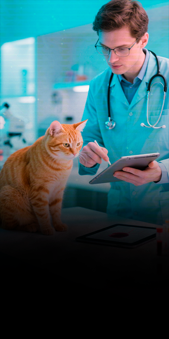 CAT-MED-Saúde-Felina-e-Doenças-Infecciosas2