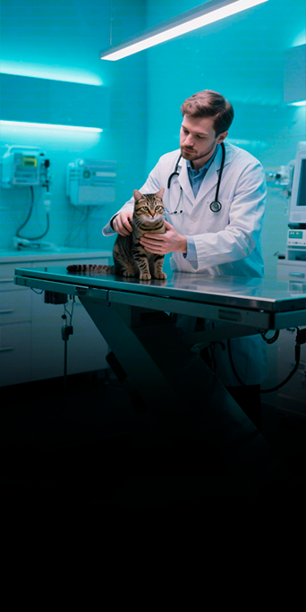 CAT-MED-Saúde-Felina-e-Doenças-Infecciosas5