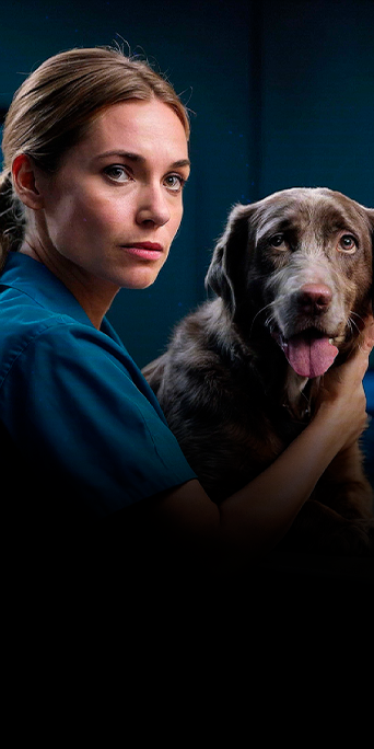 Complementar-a-DRC-e-IRA6