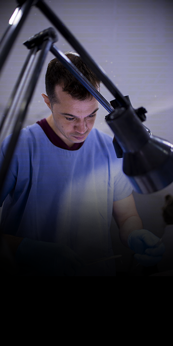 DERMATOLOGIA-FELINA4