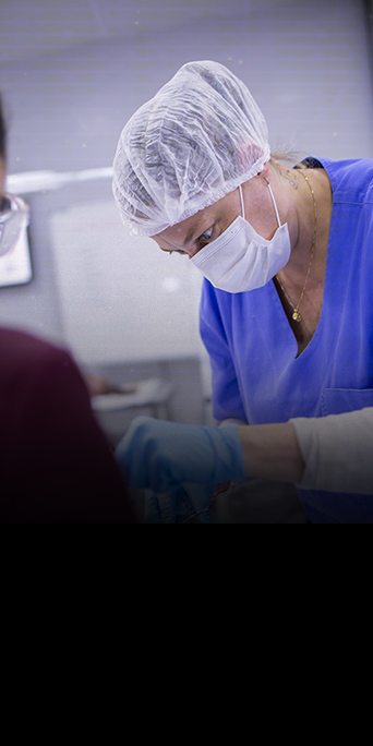 DERMATOLOGIA-FELINA6