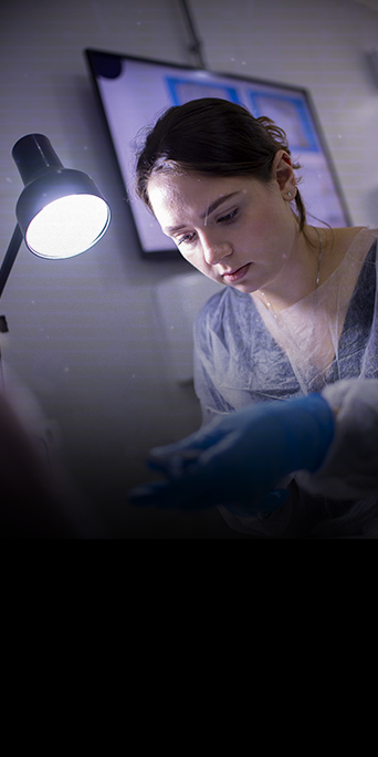 DERMATOLOGIA-FELINA8