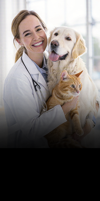 Dermatologia-Básica-de-Cães-e-Gatos10