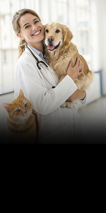 Dermatologia-Básica-de-Cães-e-Gatos11