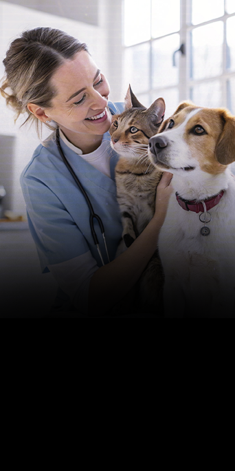 Dermatologia-Básica-de-Cães-e-Gatos6