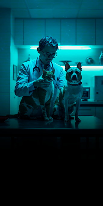 Infectologia-Dermatológica6