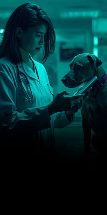 Infectologia-Dermatológica8