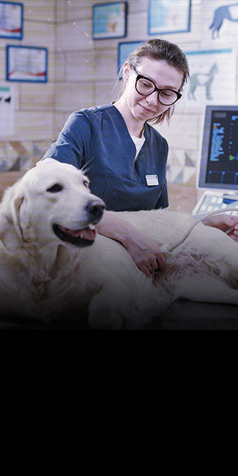 Injúria-renal-aguda1