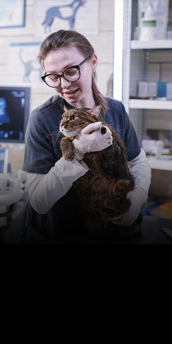 Injúria-renal-aguda2