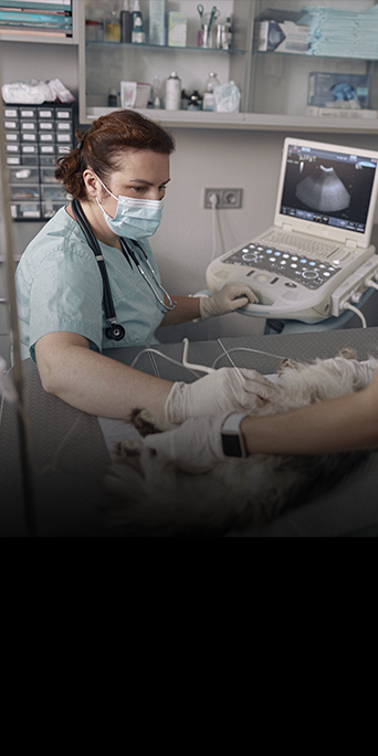 Injúria-renal-aguda3