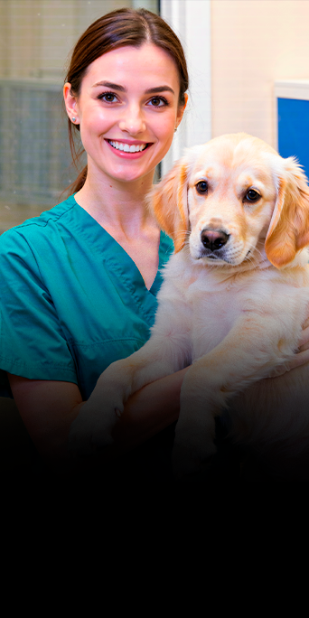 Injúria-renal-aguda4