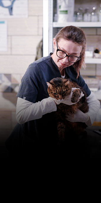 Injúria-renal-aguda5