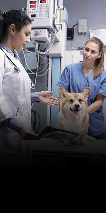 Injúria-renal-aguda6