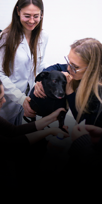 Jornada-da-desmistificação-do-hemograma-em-cães-e-gatos4