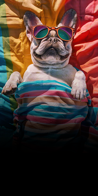 Primeira-Consulta-do-Paciente-O-Que-Não-Pode-Faltar2