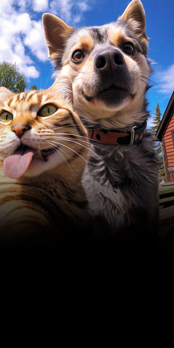 Primeira-Consulta-do-Paciente-O-Que-Não-Pode-Faltar3