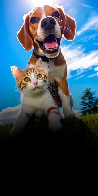 Primeira-Consulta-do-Paciente-O-Que-Não-Pode-Faltar4